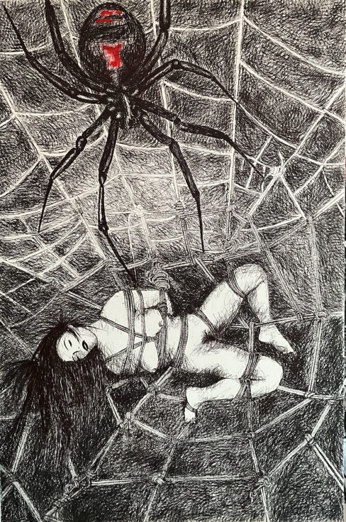 la veuve noire